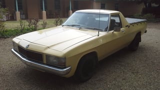 1980 WB Holden Utility