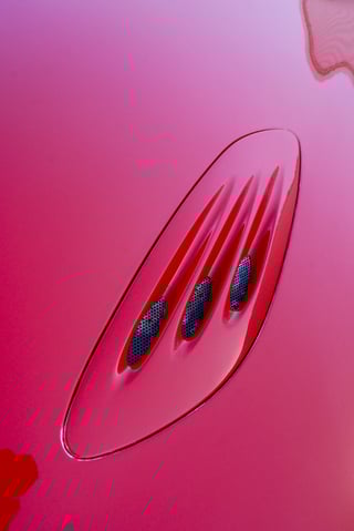 1996 Ford EF Series II Falcon XR8 Tickford 5spd Manual - LeMans Red 