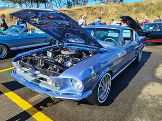 2022 All Ford Day - Eastern Creek, Sydney