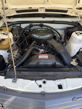 1985 Holden VK Commodore SL  4.9L V8 manual - 134 pack