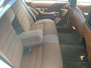 1979 ZJ Fairlane 500 V8