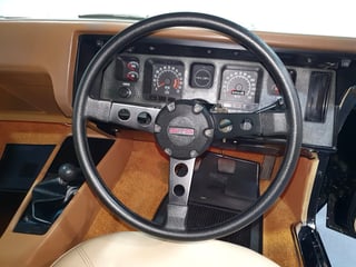 1973 HQ GTS Monaro Coupe 350 4 Speed - Warrigal Black