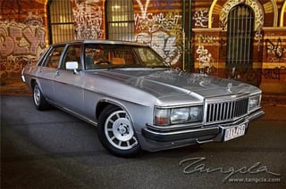 1984 WB Statesman DeVille