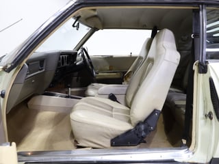 1975 Holden HJ GTS Monaro 2-Door Coupe - Chamois Unrestored Survivor 