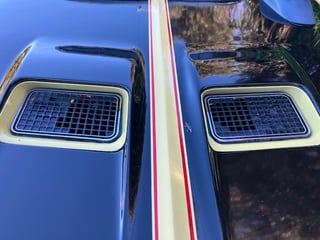 1972 Buick Skylark Custom Hardtop - 455ci GSX Tribute - Bamboo Cream 