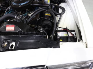 1982 Holden WB Statesman Caprice - Alabaster White