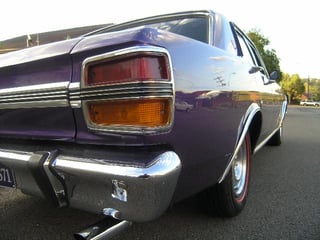 Wild Violet XY GS Fairmont