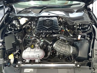 2019 Dick Johnson Limited Edition Mustang - Build 18/30 - MANUAL