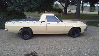 1980 WB Holden Utility