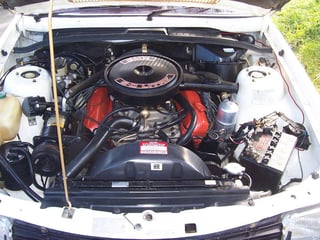 Commodore VB SL/E 310 Pack