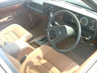 1979 ZJ Fairlane 500 V8