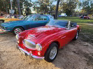 2024 All Holden Day and Coffee and Cars St Ives - A Massive Car Lover's Day!