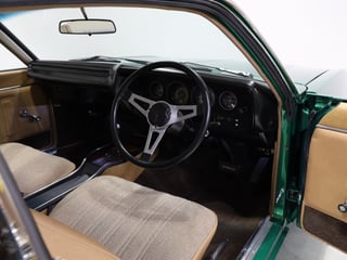 1977 Chrysler Valiant CL Charger 770 - Poison Ivy Metallic