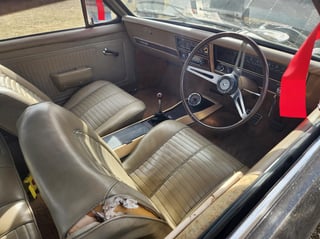 2024 All Holden Day and Coffee and Cars St Ives - A Massive Car Lover's Day!