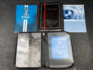 2010 Ford Mustang Shelby GT500