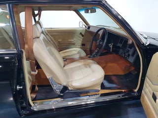 1973 HQ GTS Monaro Coupe 350 4 Speed - Warrigal Black