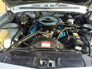 1984 WB Statesman DeVille