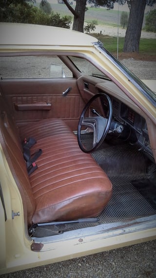 1980 WB Holden Utility