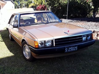 1982 Ford ZJ Fairlane 351 V8