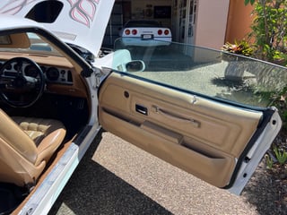 1976 Pontiac Firebird Trans Am 455 HO 4 speed manual