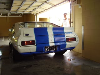 XC Falcon Cobra #171