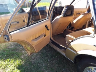 1982 Ford ZJ Fairlane 351 V8