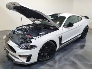2020 Ford Mustang R-Spec - Build 328 / 500