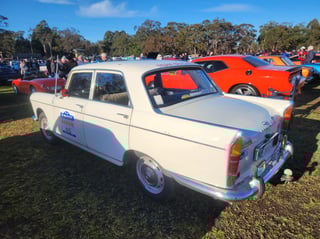 2024 All Holden Day and Coffee and Cars St Ives - A Massive Car Lover's Day!