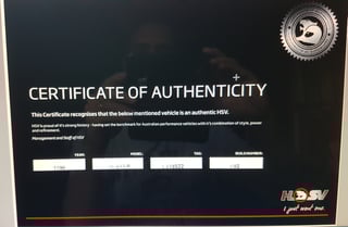 1996 HSV VS Commodore GTS-R #82/85