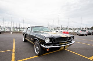 1965 Mustang Fastback Shelby GT350H Tribute