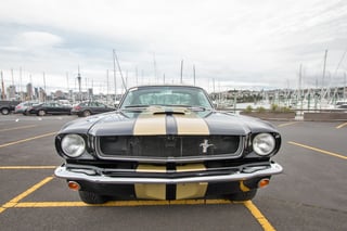 1965 Mustang Fastback Shelby GT350H Tribute