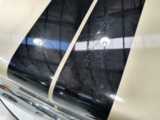 1969 HT GTS Monaro 186S - SURVIVOR