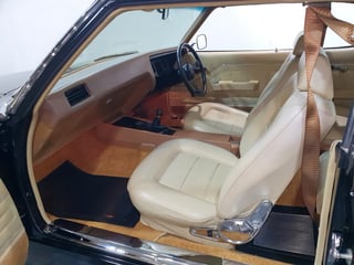 1973 HQ GTS Monaro Coupe 350 4 Speed - Warrigal Black