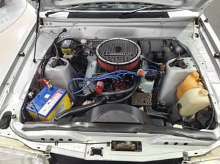 AMCS Sydney Showroom Tour - New Arrivals - 30th Oct 2021