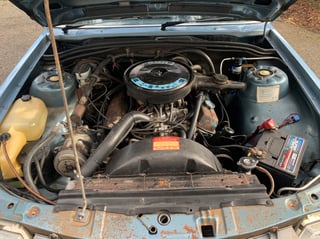 1982 VH SL/E Commodore 5 Litre V8 Shadow Tone