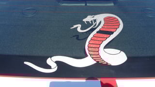 2007 Ford Mustang Shelby GT500