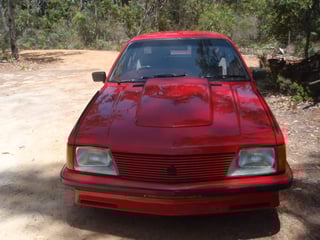 1982 VH Group 3 Brock Commodore #676