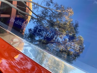 1974 Leyland P76 Executive - 4.4L V8