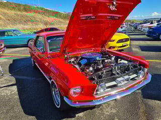 2022 All Ford Day - Eastern Creek, Sydney