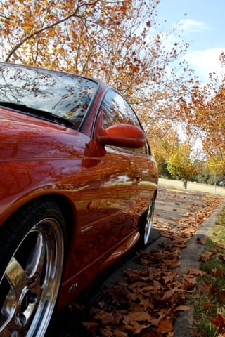 1989 VT Senator Signature 10th Anniversary