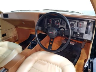 1973 HQ GTS Monaro Coupe 350 4 Speed - Warrigal Black