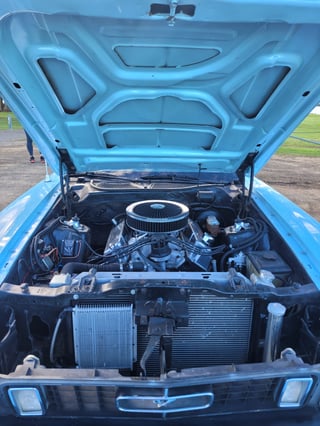 1973 Ford Mustang 351 V8