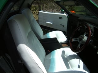 XB GS Falcon Ute 302 V8