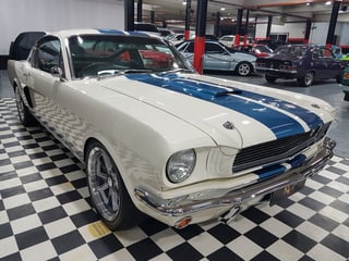 1966 Mustang Shelby GT350 Tribute