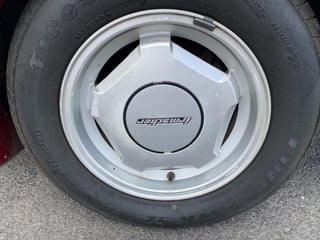 1980 VC HDT Brock Commodore Build No.230