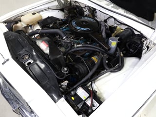 1982 Holden WB Statesman Caprice - Alabaster White