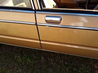 1982 Ford ZJ Fairlane 351 V8