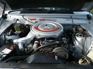 1981 XD Ghia ESP 351