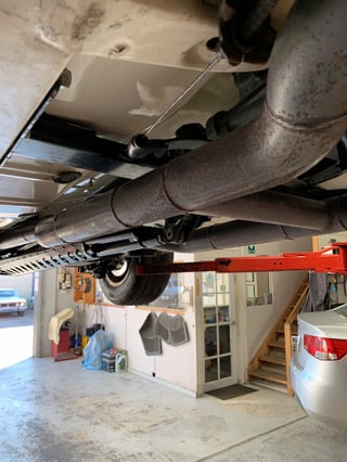 1965 Shelby Mustang GT350 Tribute