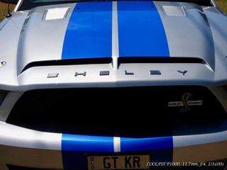 2009 Ford Shelby Mustang GT500KR
